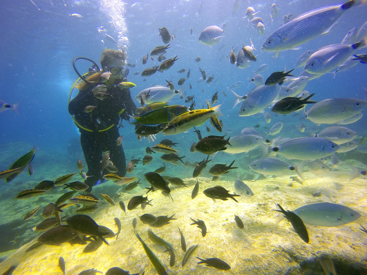 Att snorkla